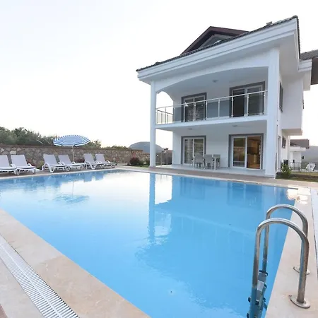 Orka Diamond 08 Cedit